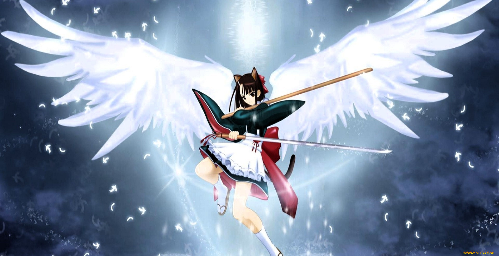 �����, ������,  ������, �������, ����, ������, ������